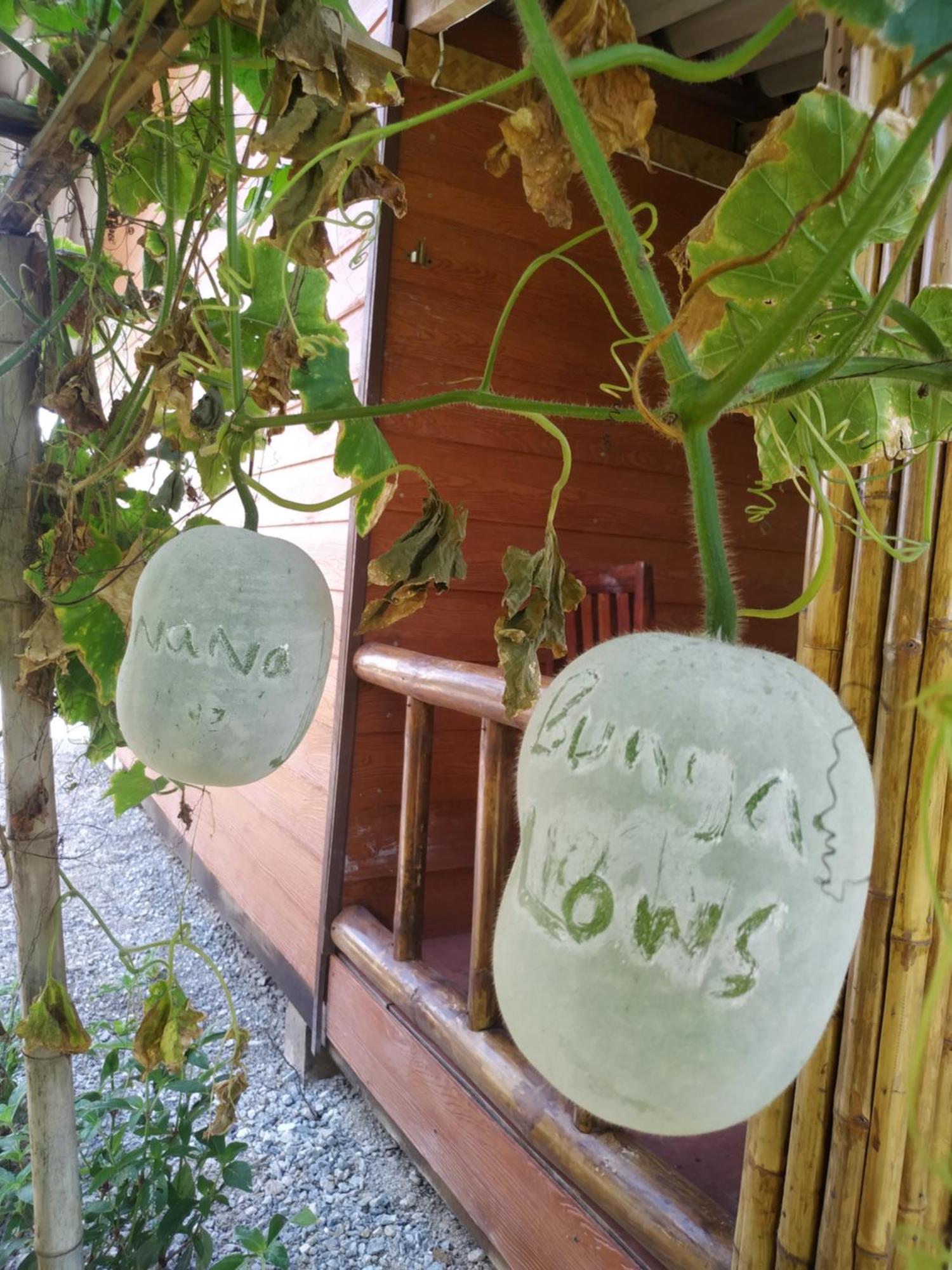 Nana Bungalows Ban Tan Habitación foto