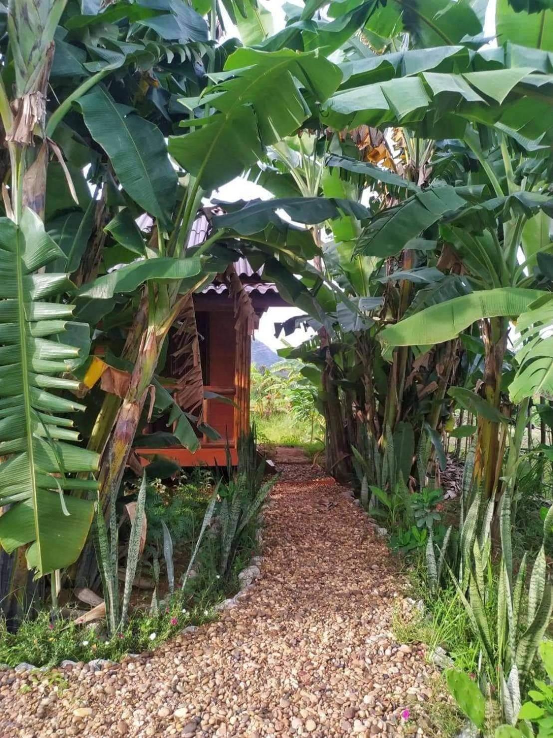Nana Bungalows Ban Tan Habitación foto